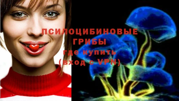 гашик Нефтекумск