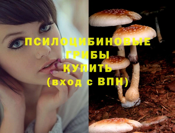 соль ск Нефтегорск