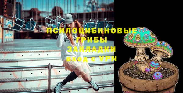 гашик Нефтекумск