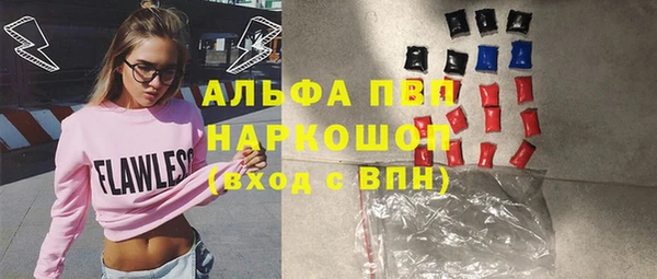 гашик Нефтекумск