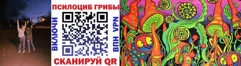 Псилоцибиновые грибы Psilocybe  Медынь 